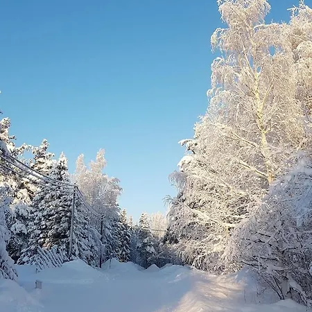 Arctic Luxury